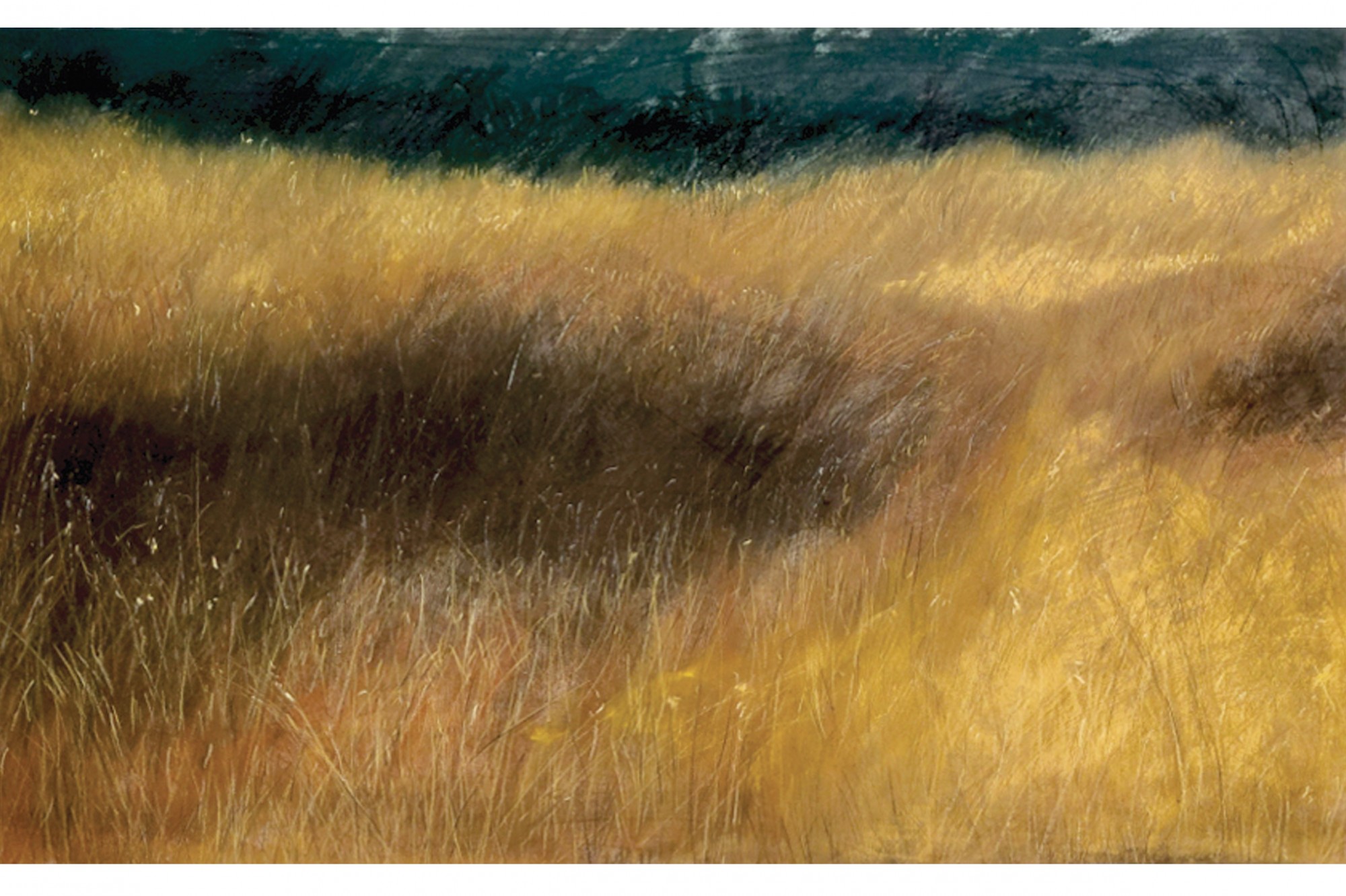 ARBEFEUILLE GALERIE - Lumières JCF_ 2