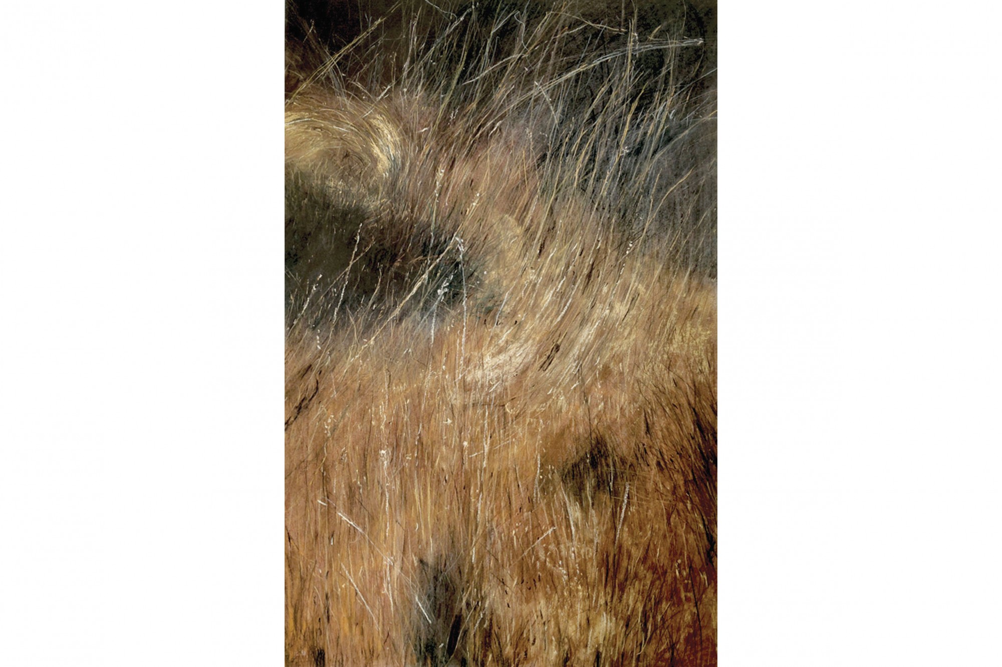 ARBEFEUILLE GALERIE - Lumières 3 JCPiriou