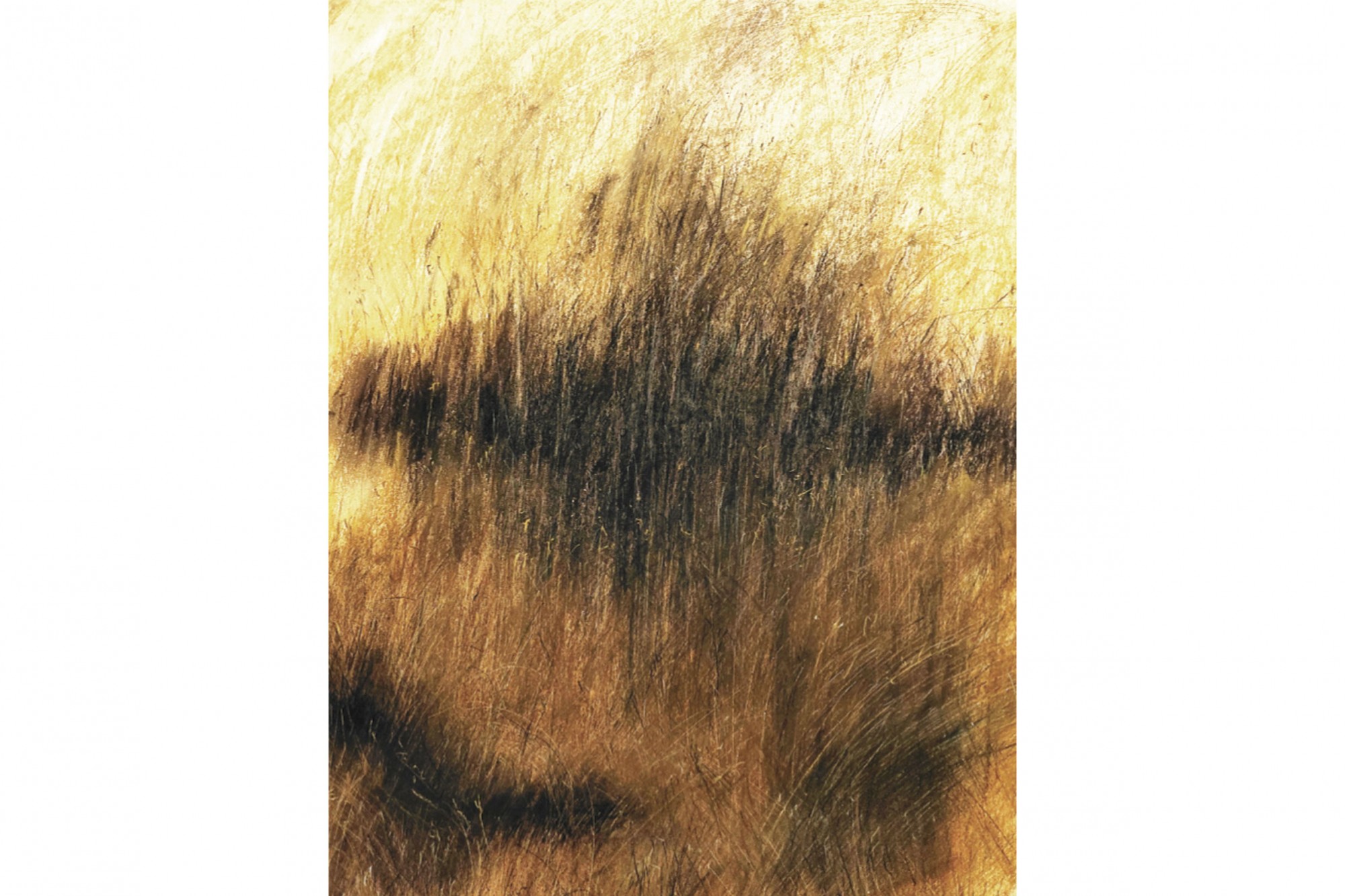 ARBEFEUILLE GALERIE - Lumières 3